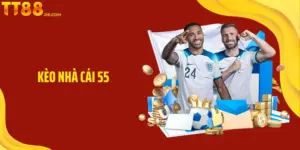 Kèo Nhà Cái 55 Và Cách Đọc Tỷ Lệ Chuẩn Xác Cho Mỗi Trận Đấu