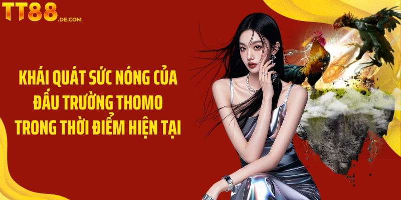 Khái quát sức nóng của đấu trường Thomo trong thời điểm hiện tại